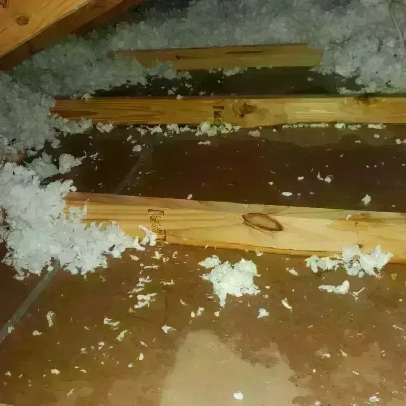 Attic Water Damage in Paullina, IA