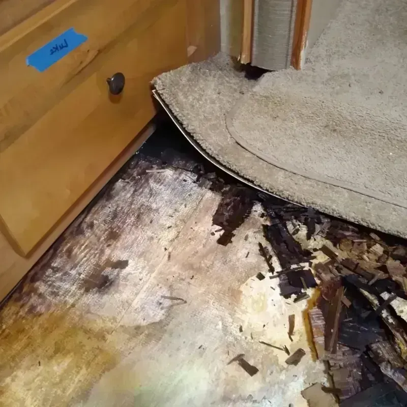 Wood Floor Water Damage in Paullina, IA